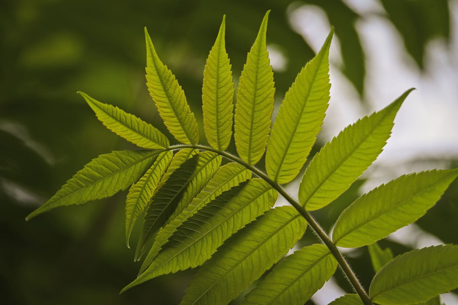 Cómo evitar el greenwashing en la ropa